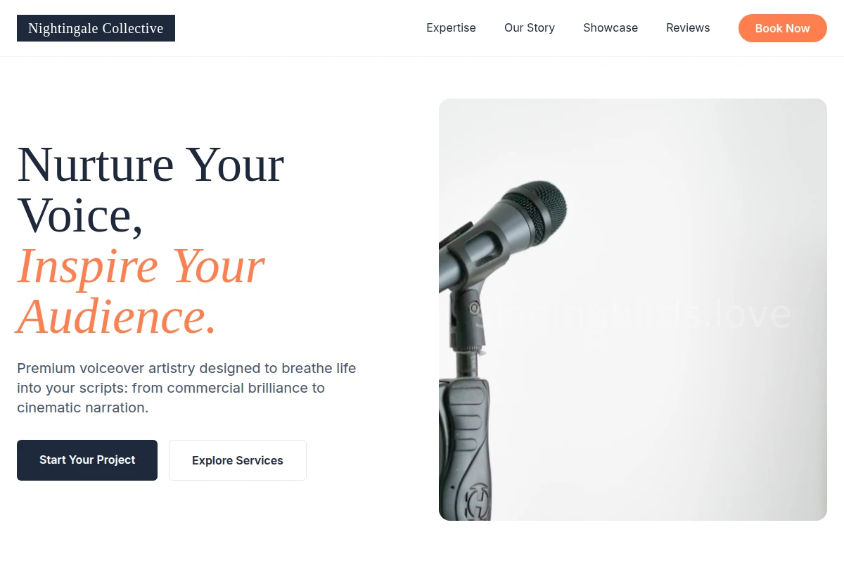 voiceover